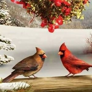 Meet your Posher, Adelle